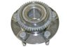 SPIDAN 27857 Wheel Bearing Kit